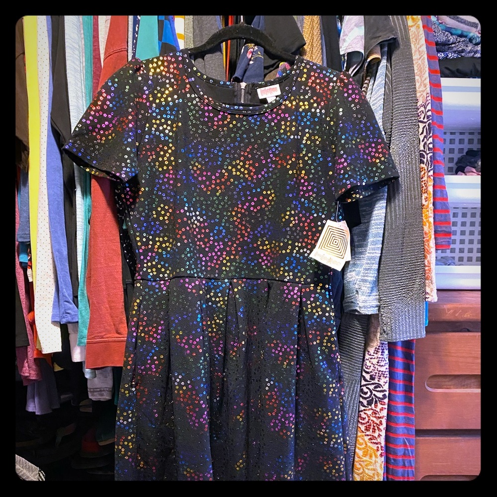 NWT L Elegant Amelia dress with pockets!